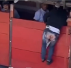 Cogidos por el Toro